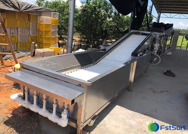 images/1657879324792dragon fruit grader.jpg